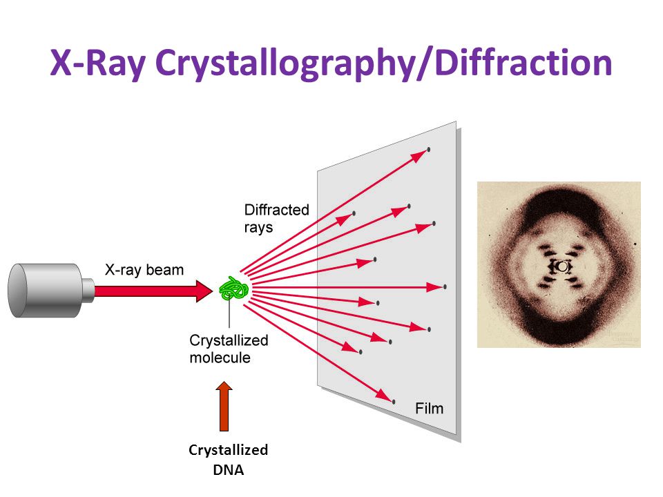 Research papers google x ray crystallography